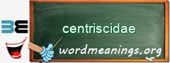 WordMeaning blackboard for centriscidae